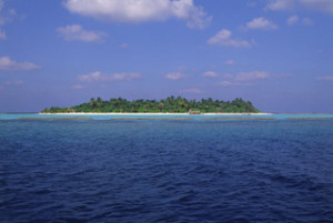 85755354e759264d09cf69eecfdbf722