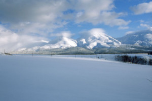 9c35d872faa9a3a2d77a901587355ec7