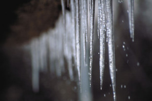 acce0055776a157019db3a0e82ba4080